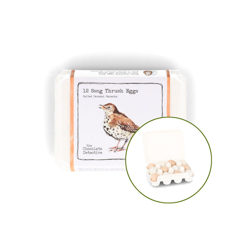 The Chocolate Detective 12 Song Thrush Chocolate Eggs, 150g