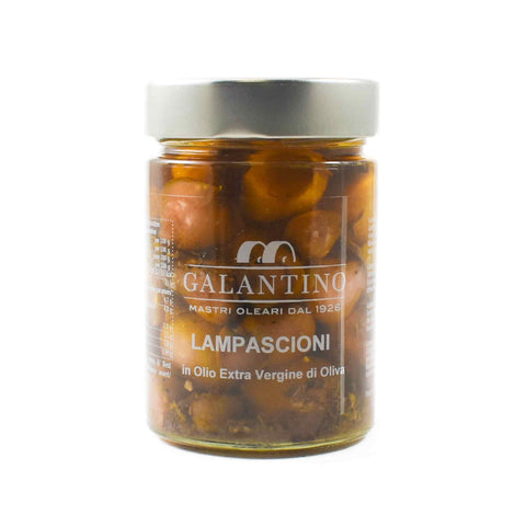 Galantino Lampascioni in Extra Virgin Olive Oil, 320g