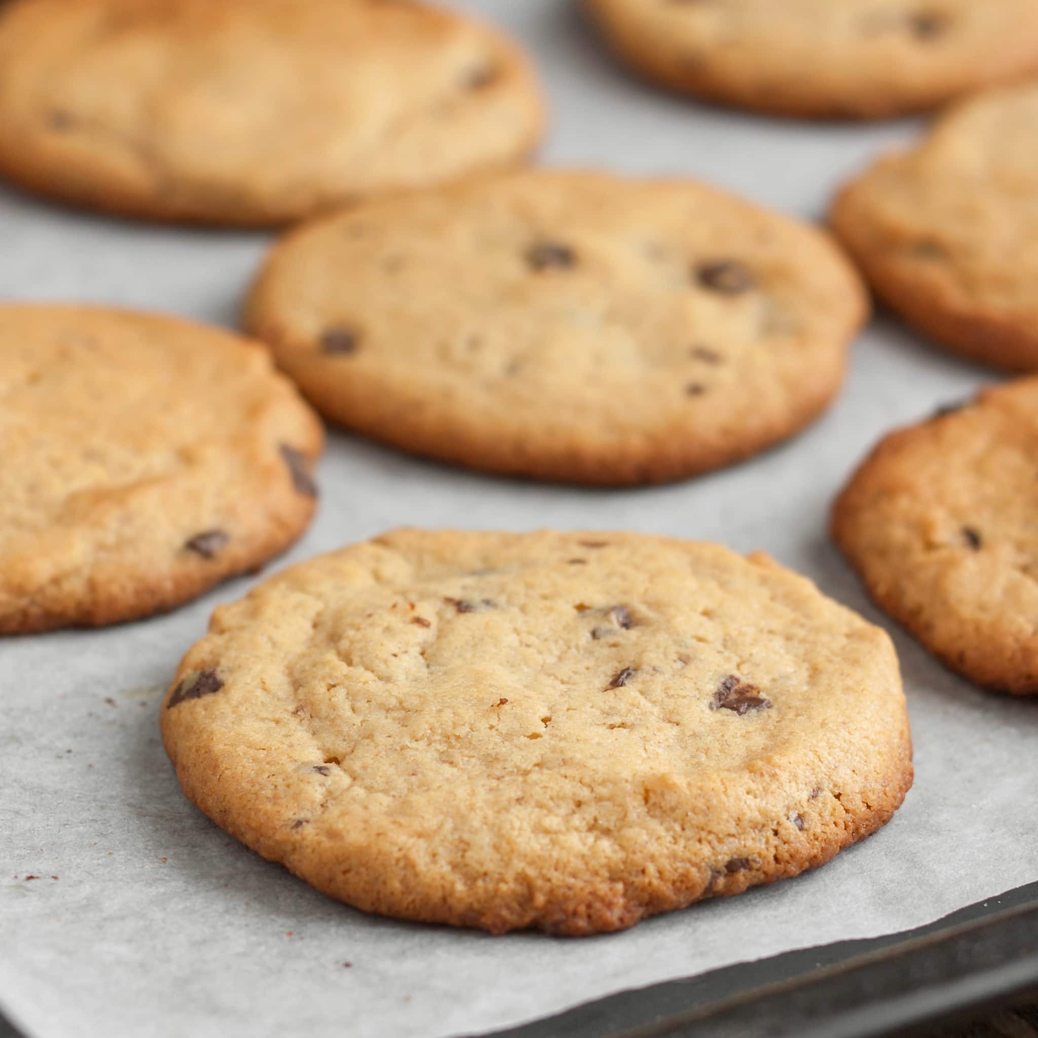 Siliconised Parchment Paper 400x600mm, 480 Sheets Buy online UK