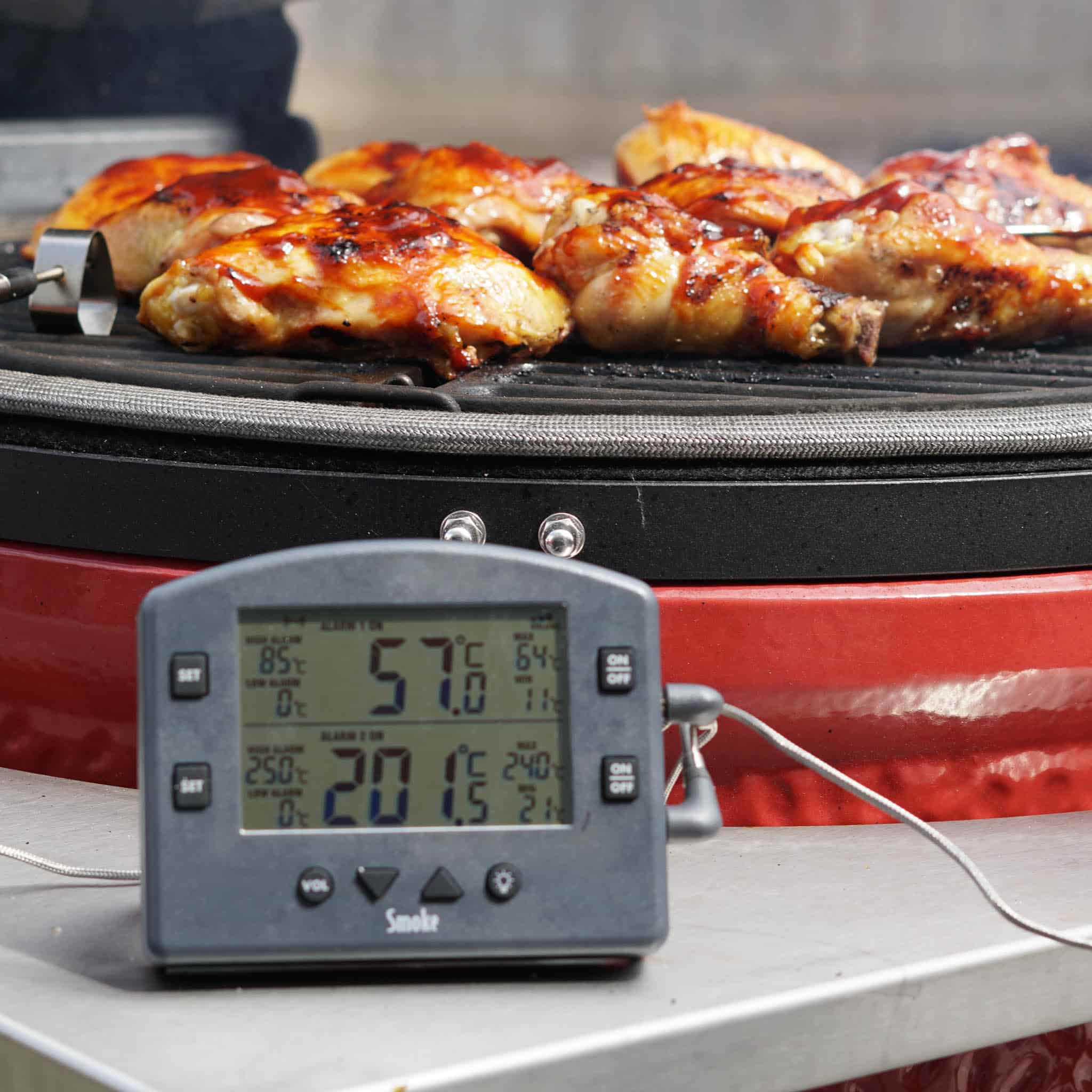 Meat Thermometers For Smokers Best Meat Thermometers: Over 50 Products Foto & Idee Foto zu Meat Thermometers For Smokers Best Meat Thermometers: Over 50 Products