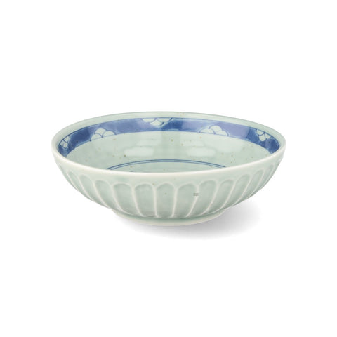 Dinosaur Japanese Bowl, 15.5cm