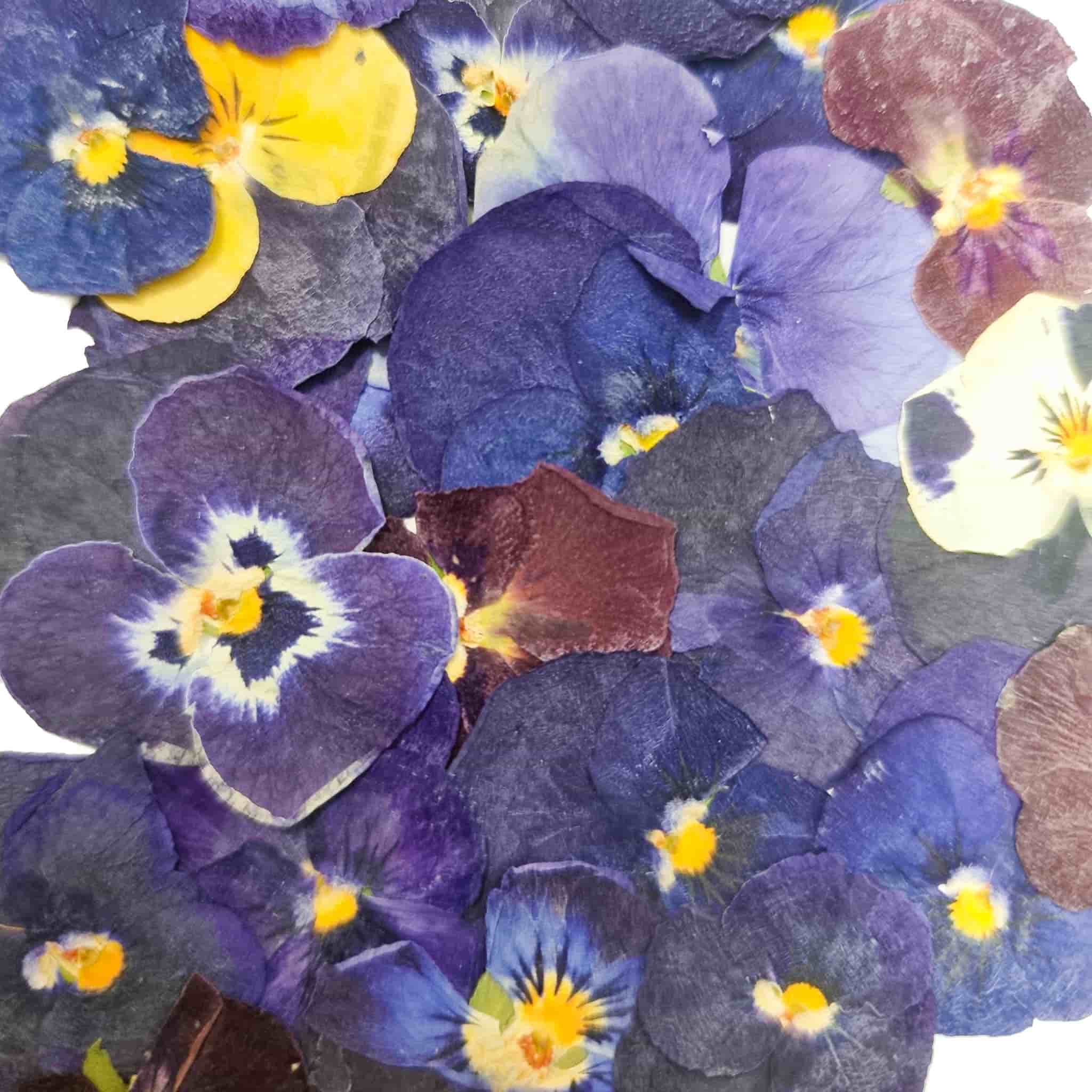 Edible Dried & Pressed Violas, 25 pieces Buy online UK Sous Chef UK