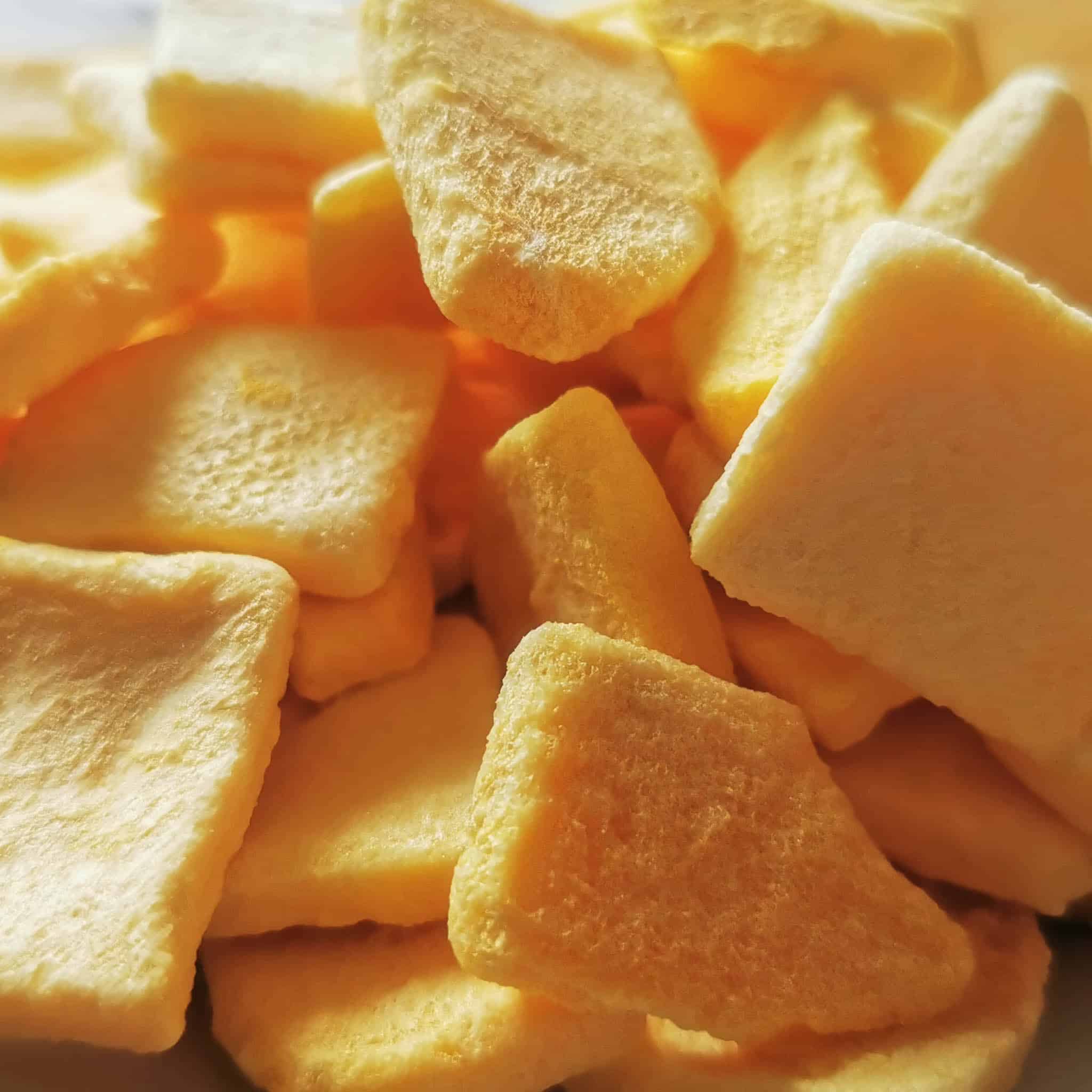 ZingyZoo Freeze Dry Mango Pieces 100g