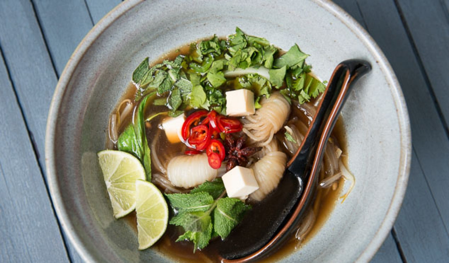 Vietnamese Pho With Shirataki Noodle Nests Recipe