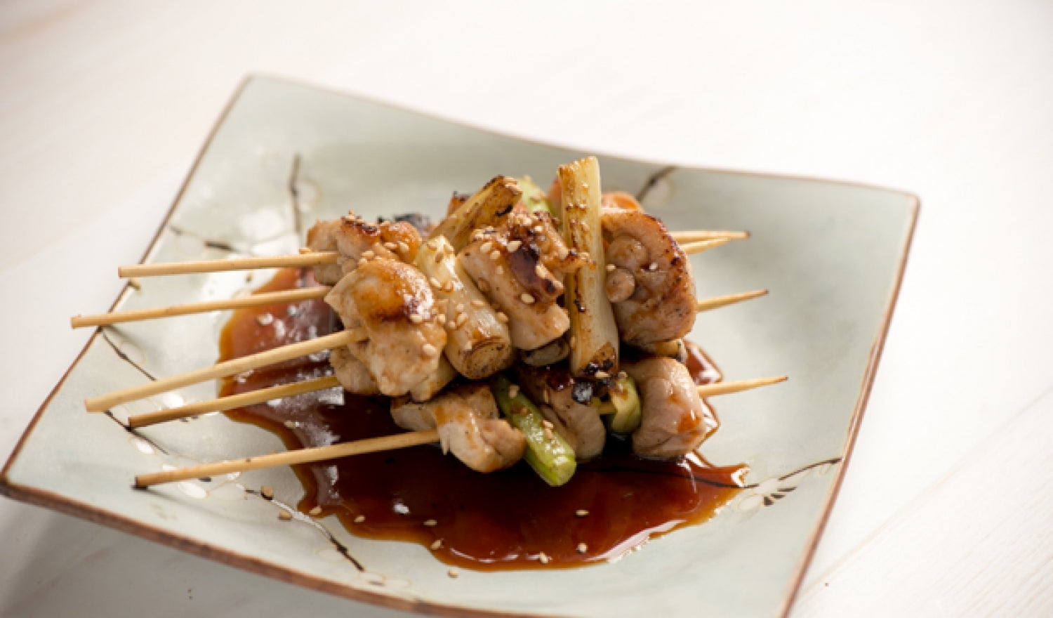 Yakitori Chicken