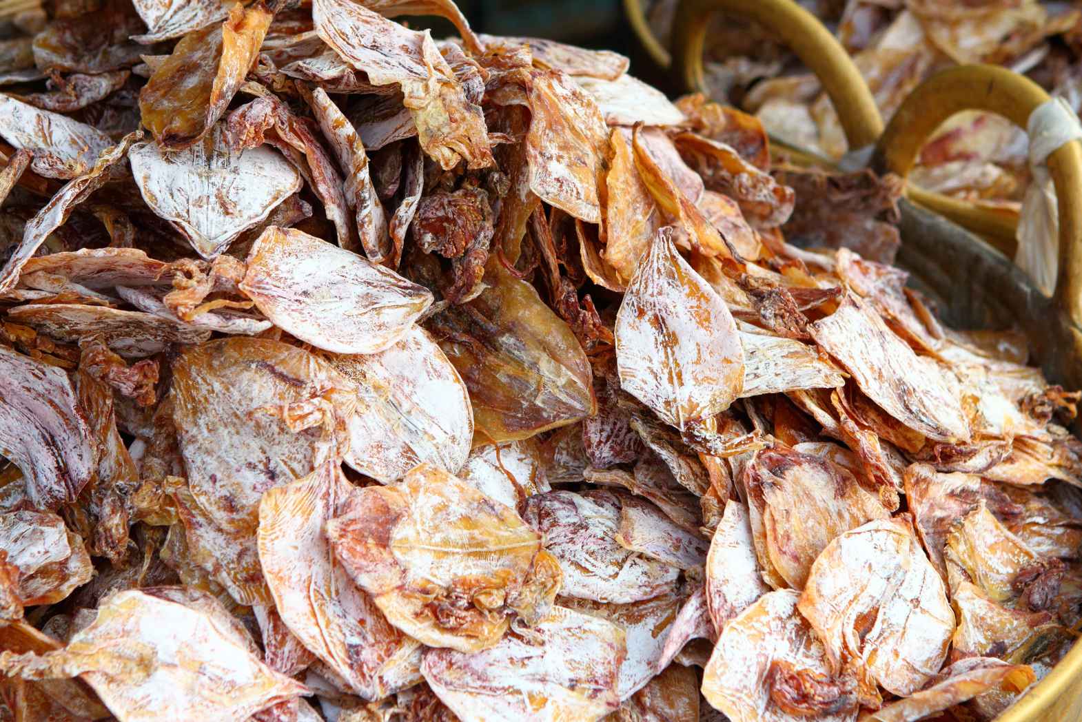 All About Dried Squid