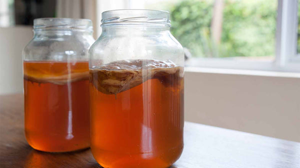 10 Different Kombucha Flavours to Try At Home