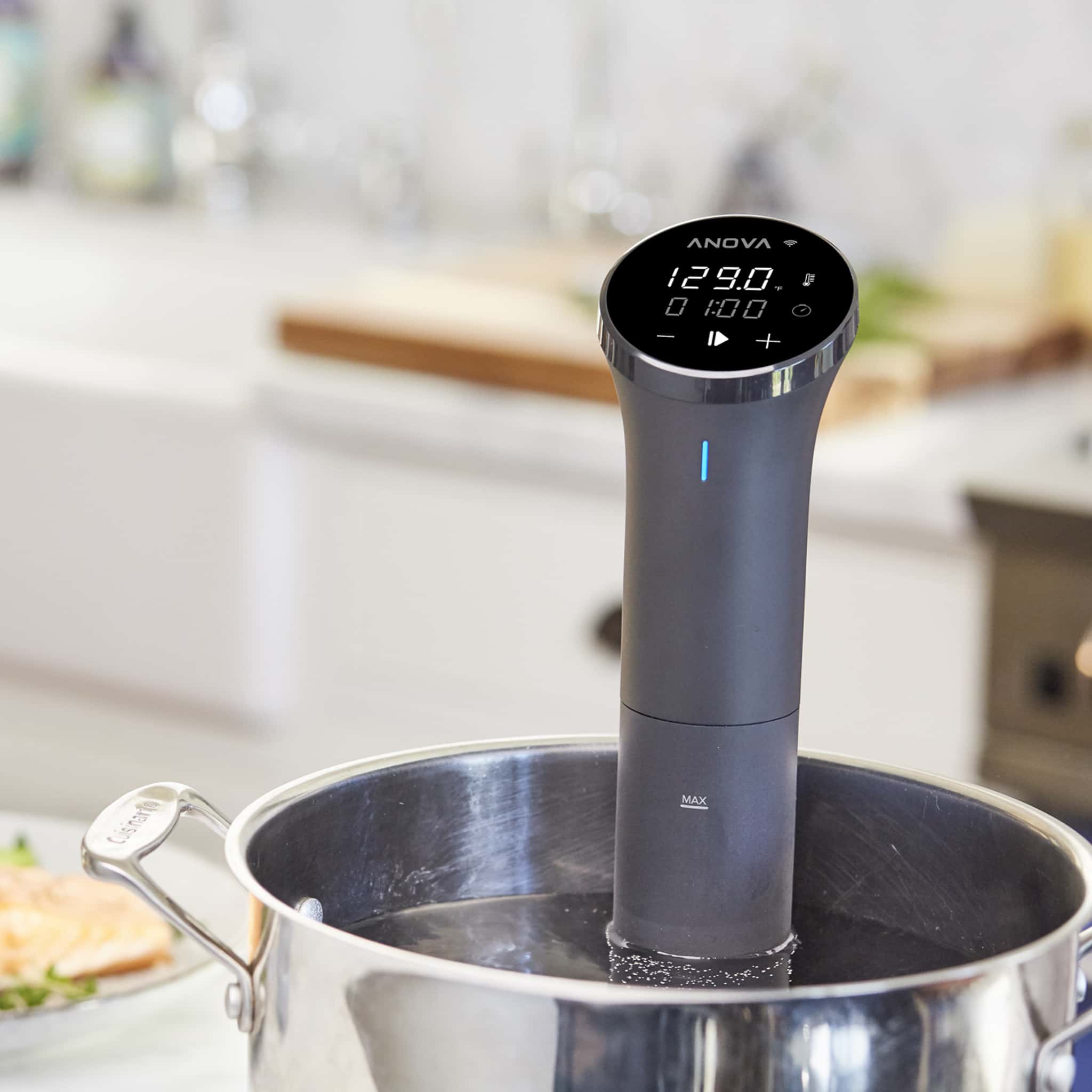 ANOVA PRECISION COOKER 低温調理器具 Anova 低温調理器 WIFI Sous