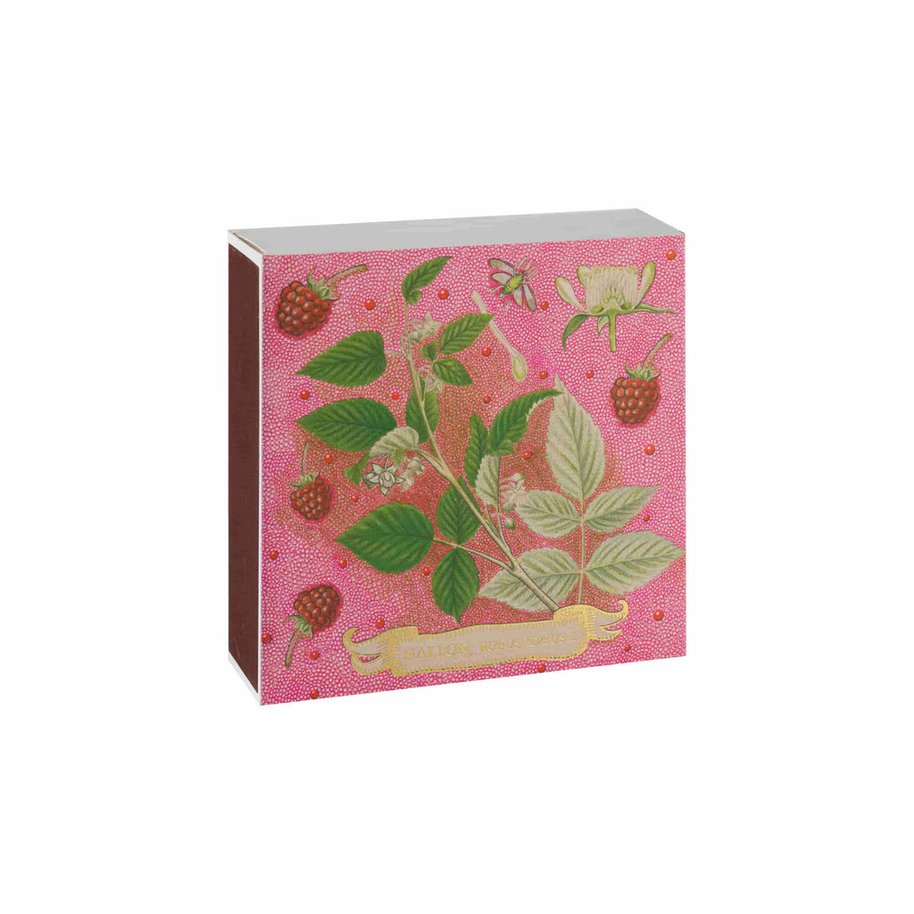 Framboise Luxury Safety Matches