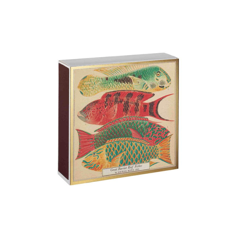 Fish Luxury Safety Matches