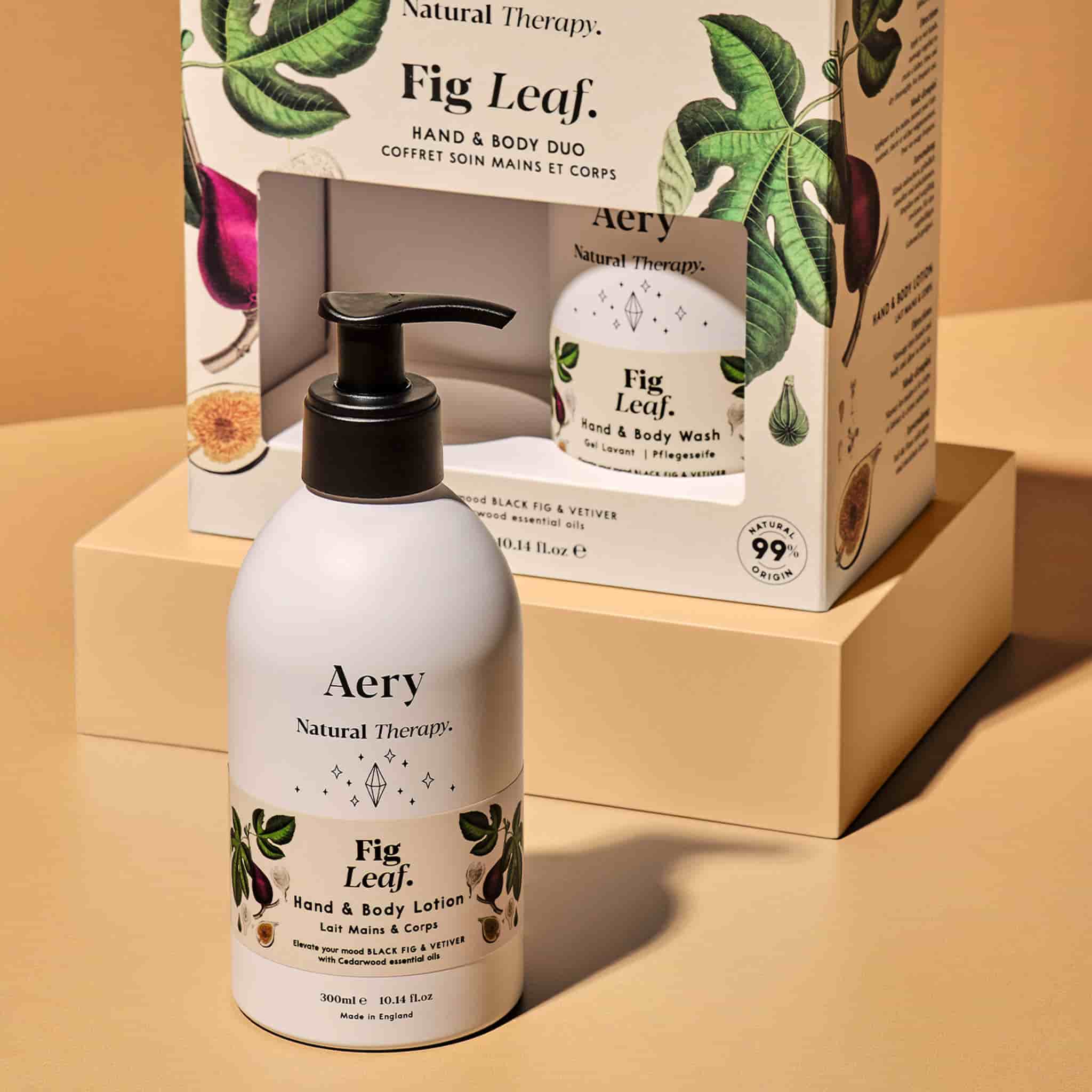 Aery Fig Leaf Hand & Body Duo Gift Set