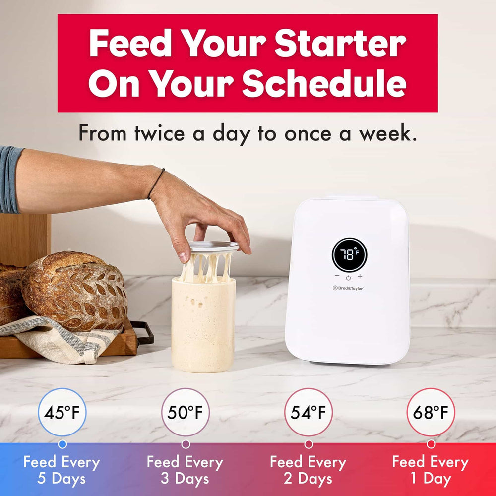 Brod & Taylor Sourdough Home