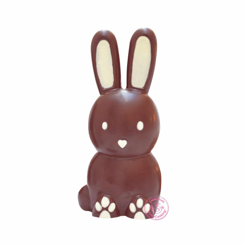 Scrap Cooking 3-Dimensional Chocolate Rabbit Mould
