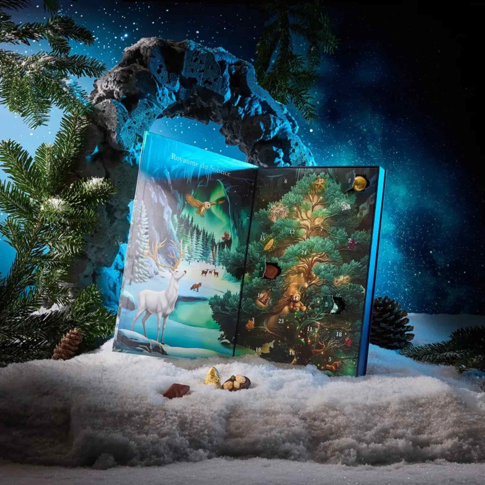 Cluizel Chocolate Advent Calendar, 265g