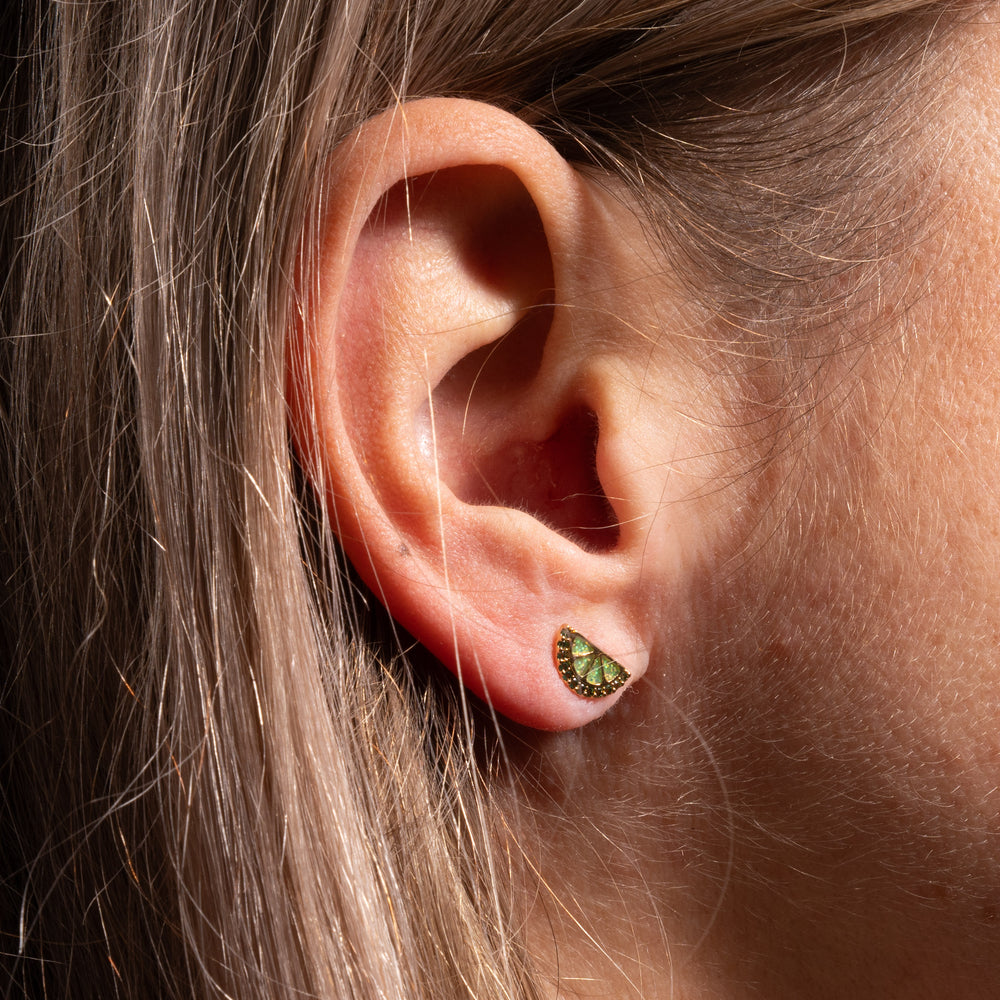 Pair of Coordinating Tabasco & Lime Stud Earrings