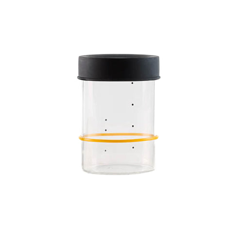 Sourhouse Starter Jar, Pint
