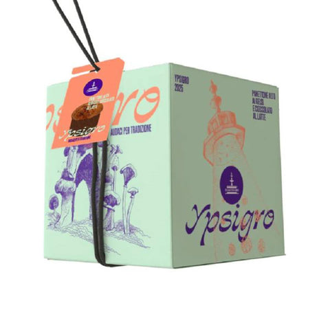 Fiasconaro x Ypsigro Mulberry & Milk Chocolate Chip Panettone, 750g