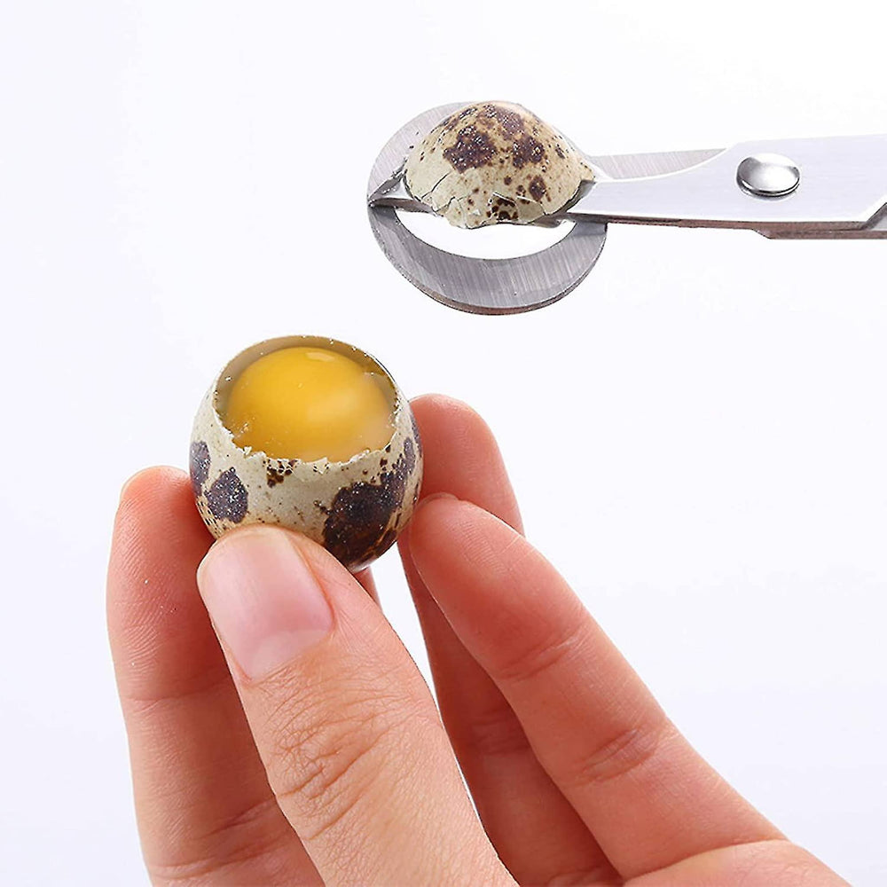 Japanese Quail Egg Scissors
