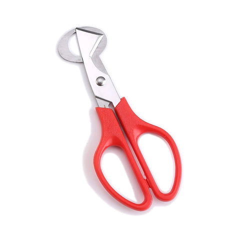 Japanese Quail Egg Scissors