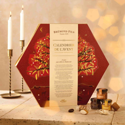 Maison Bremond Tree of Life Advent Calendar, 440g