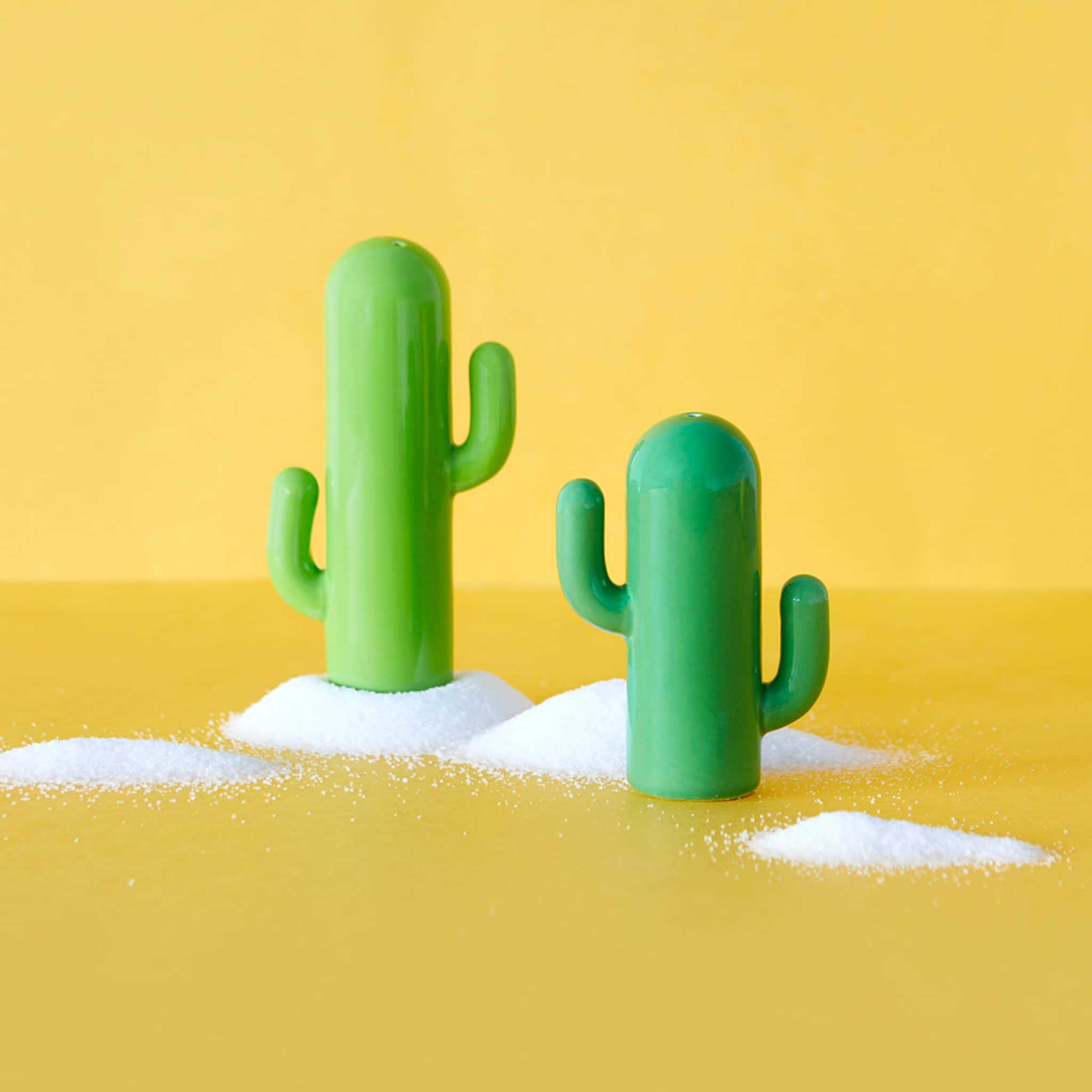 Cacti Salt & Pepper Shakers