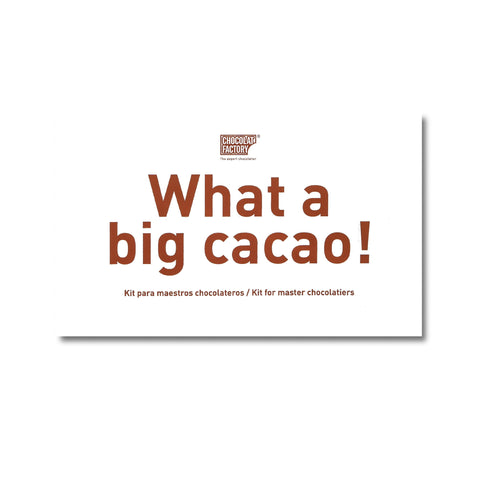 Chocolat Factory Chocolate Making Kit,400g