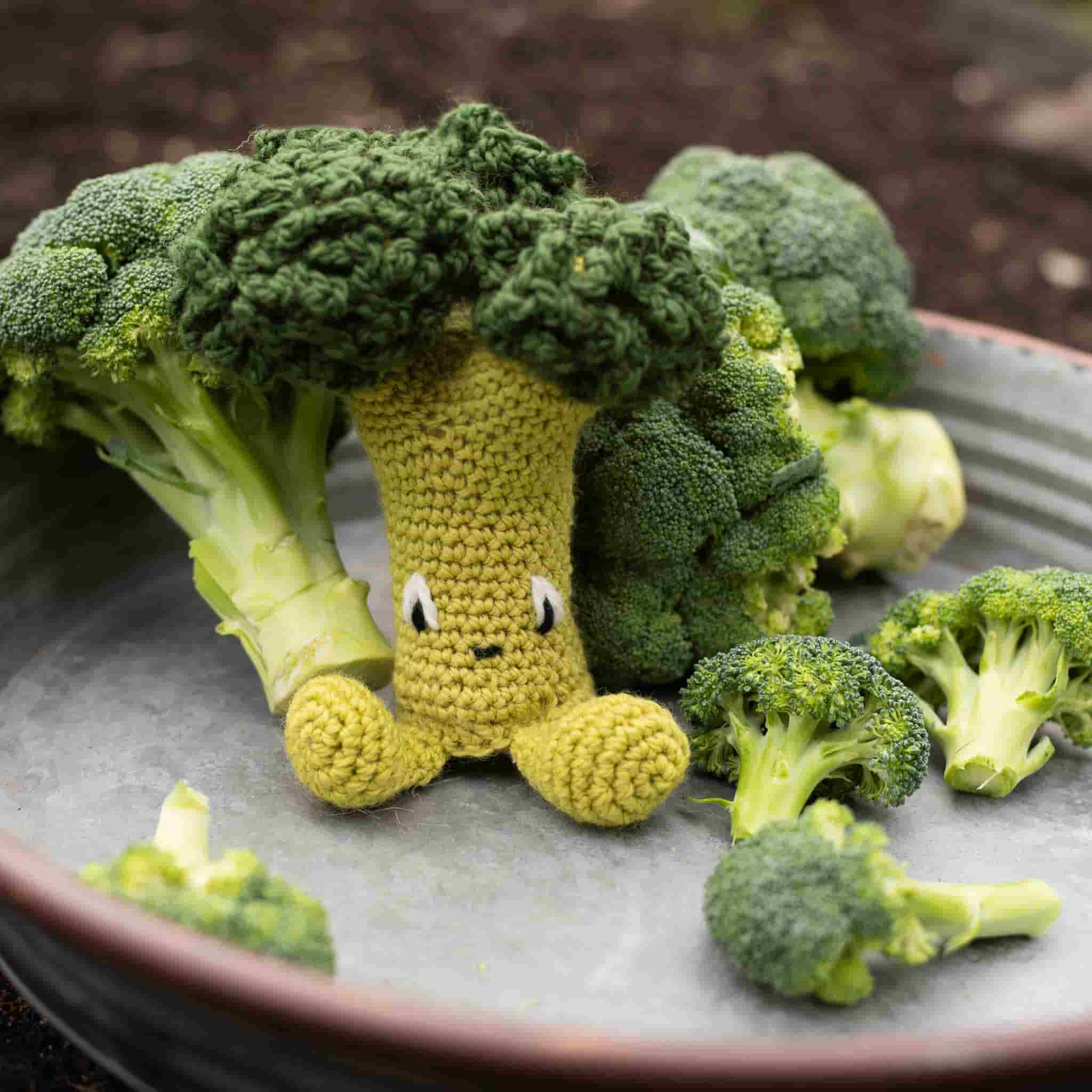 Make Your Own Broccoli Crochet Kit
