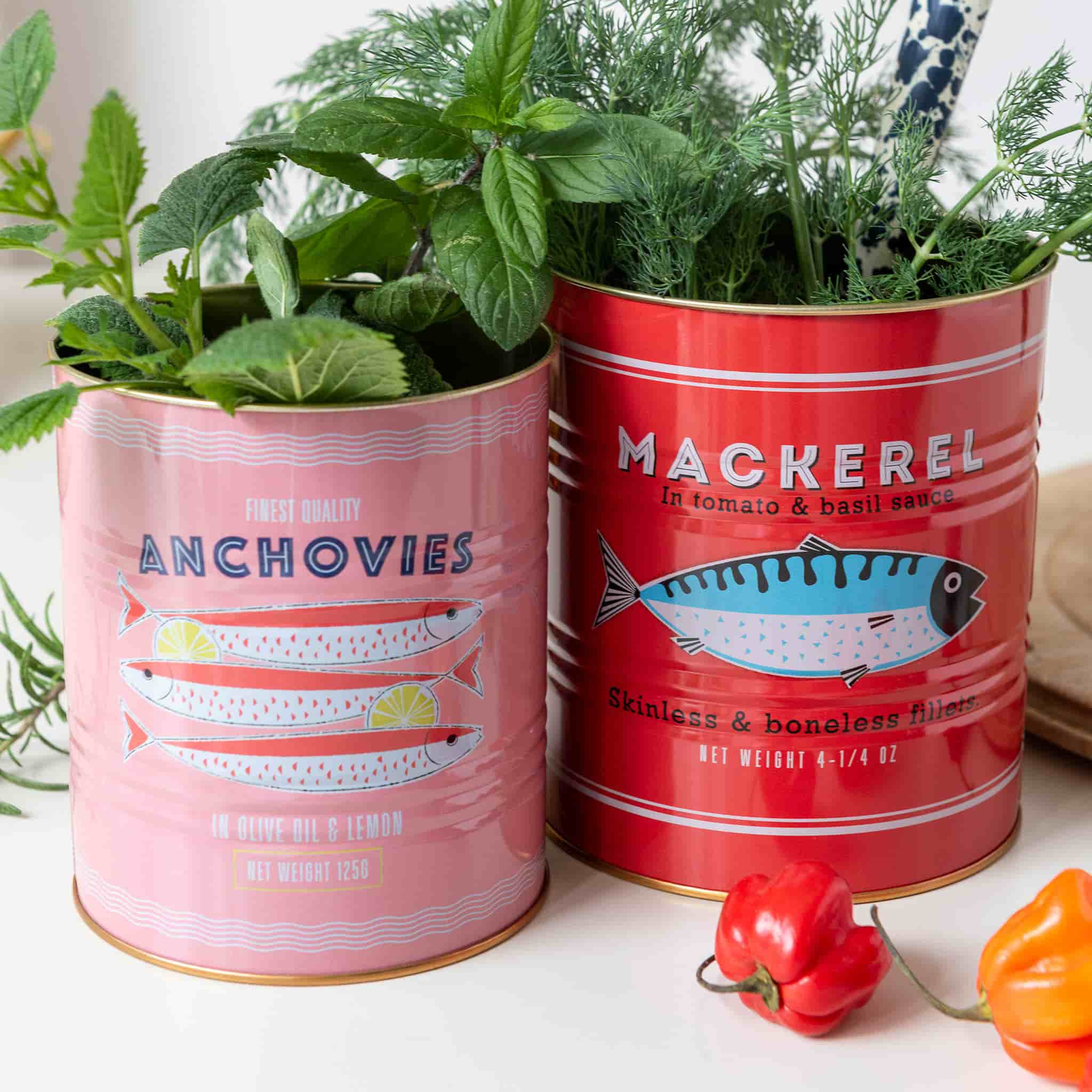 Set of 2 Mackerel & Anchovies Utensil Jars
