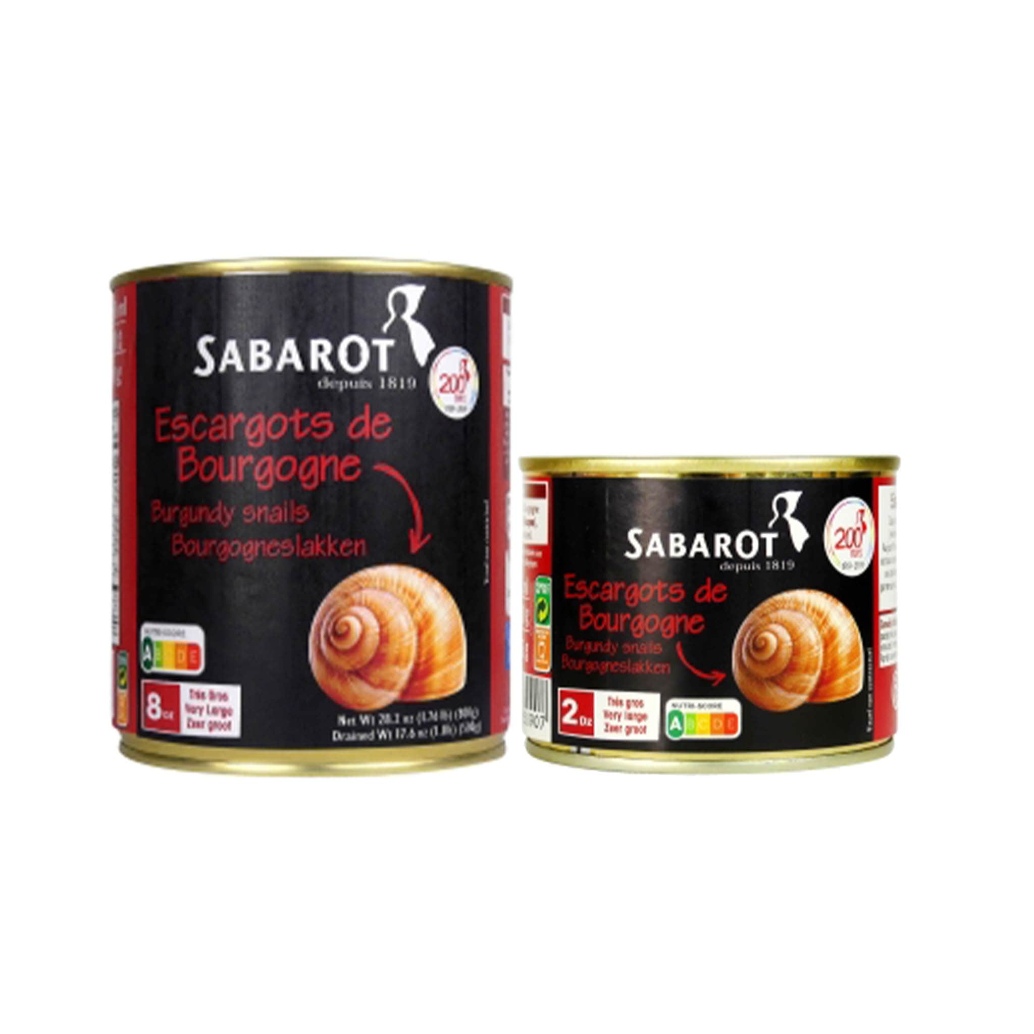 Sabarot Extra Large Burgundy Snails