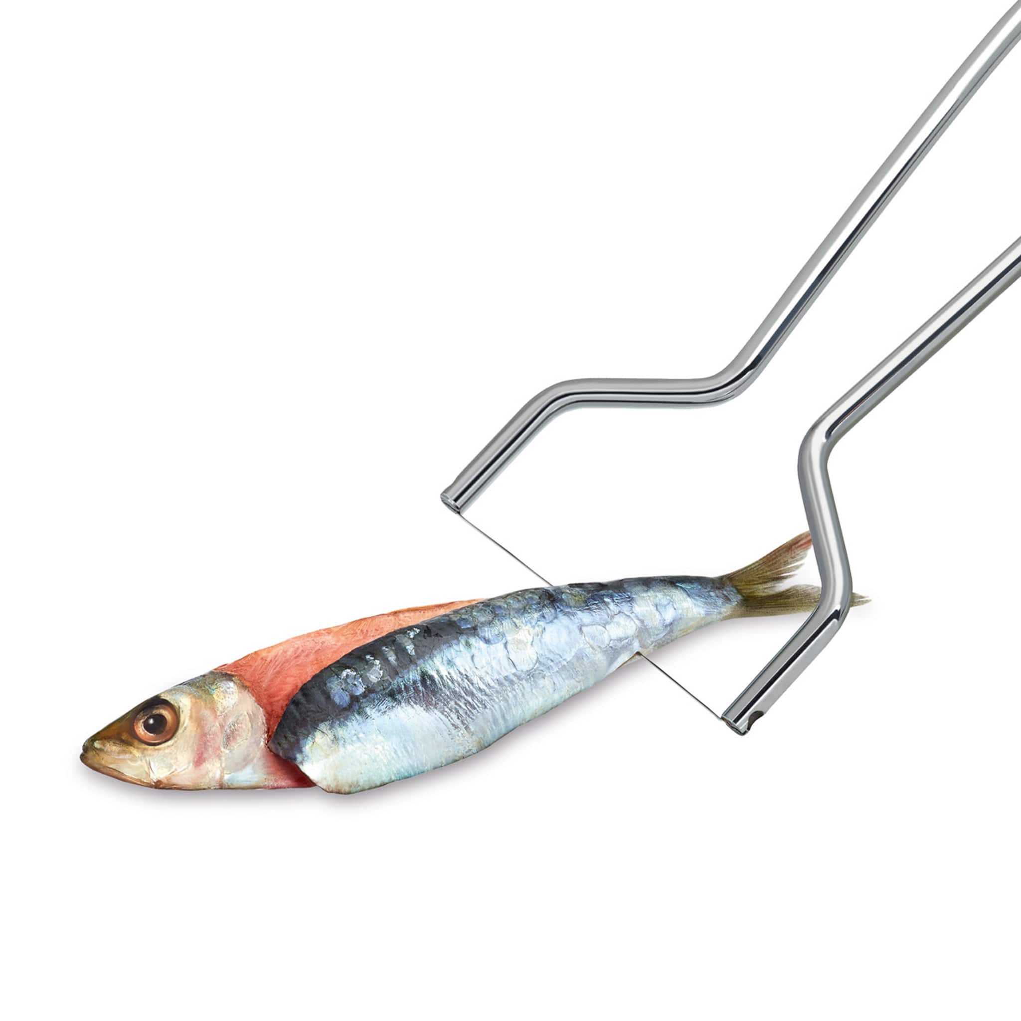 Triangle Stainless Steel Sardine Fillet Slicer | Buy online UK – Sous ...