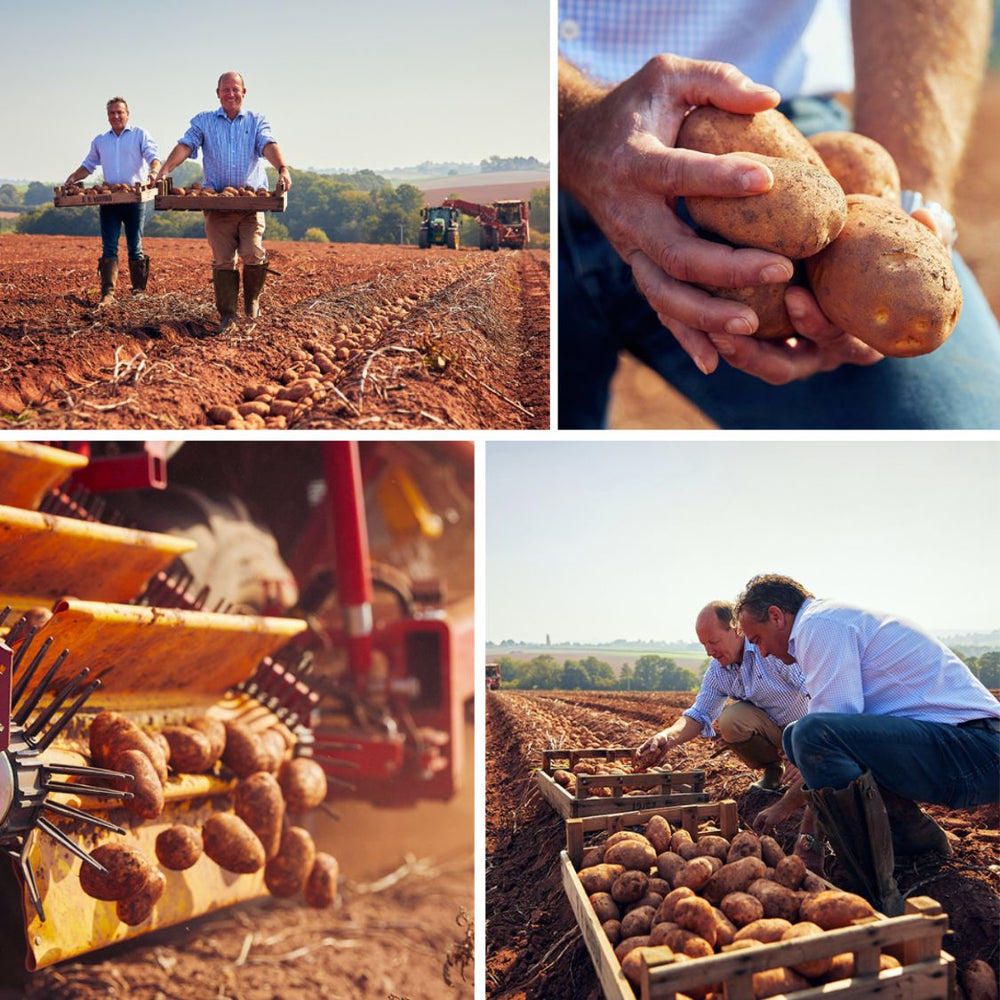 Two Farmers Herefordshire Sauce Potato Crisps, 150g