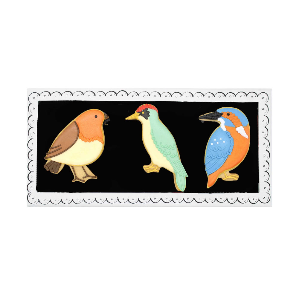Biscuiteers Garden Birds Large Letterbox Iced Biscuits, 40g