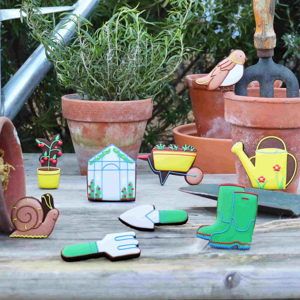 Biscuiteers The Gardeners Iced Biscuits in Tin, 100g