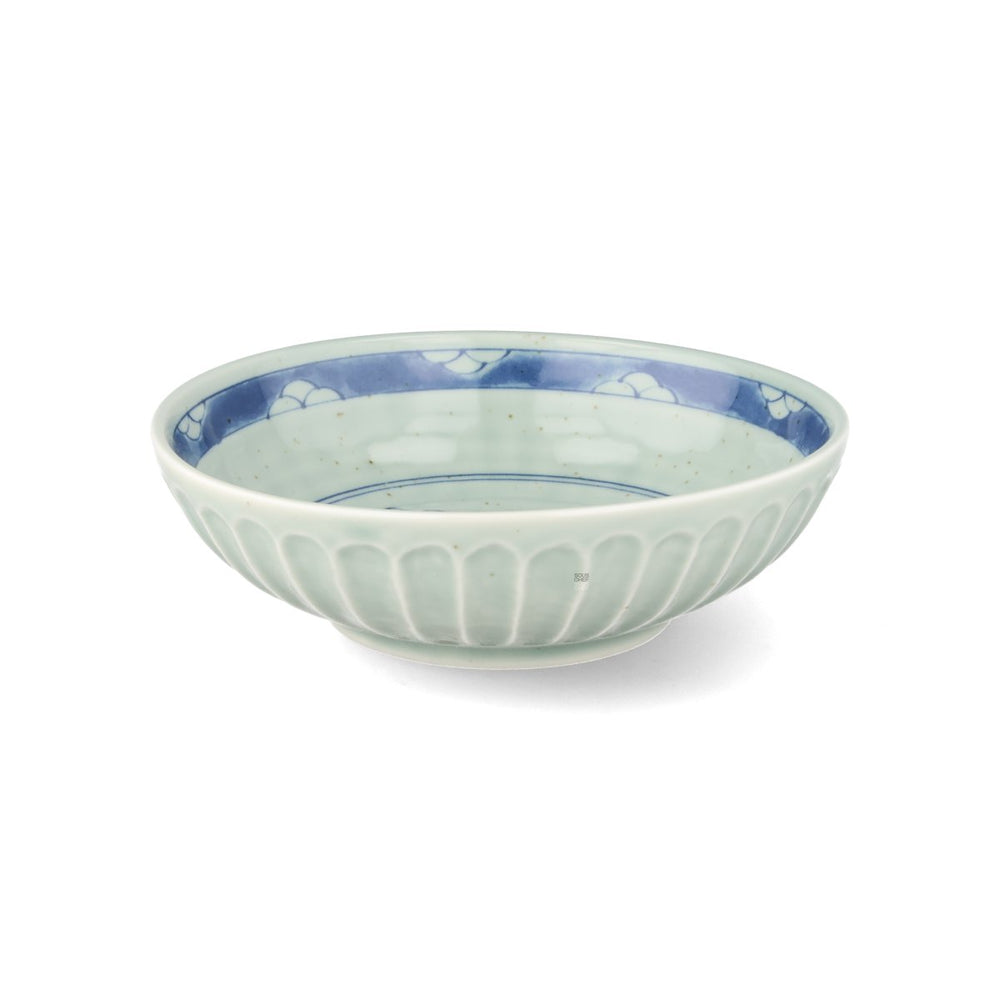 Dinosaur Japanese Bowl, 15.5cm