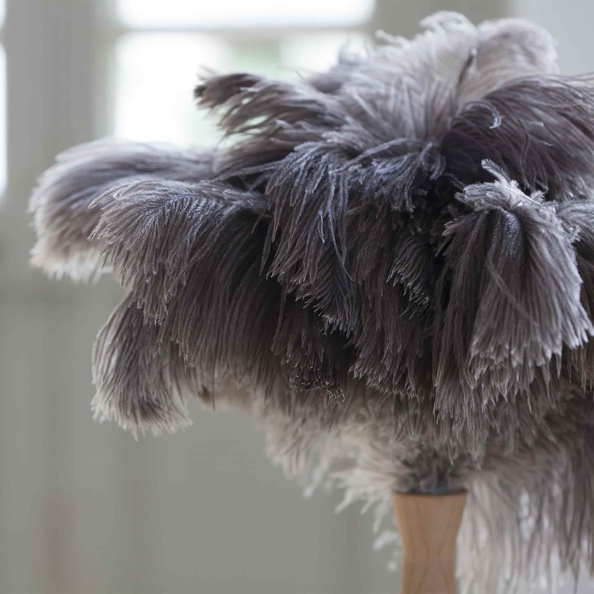 Andree Jardin Ostrich Feather Duster