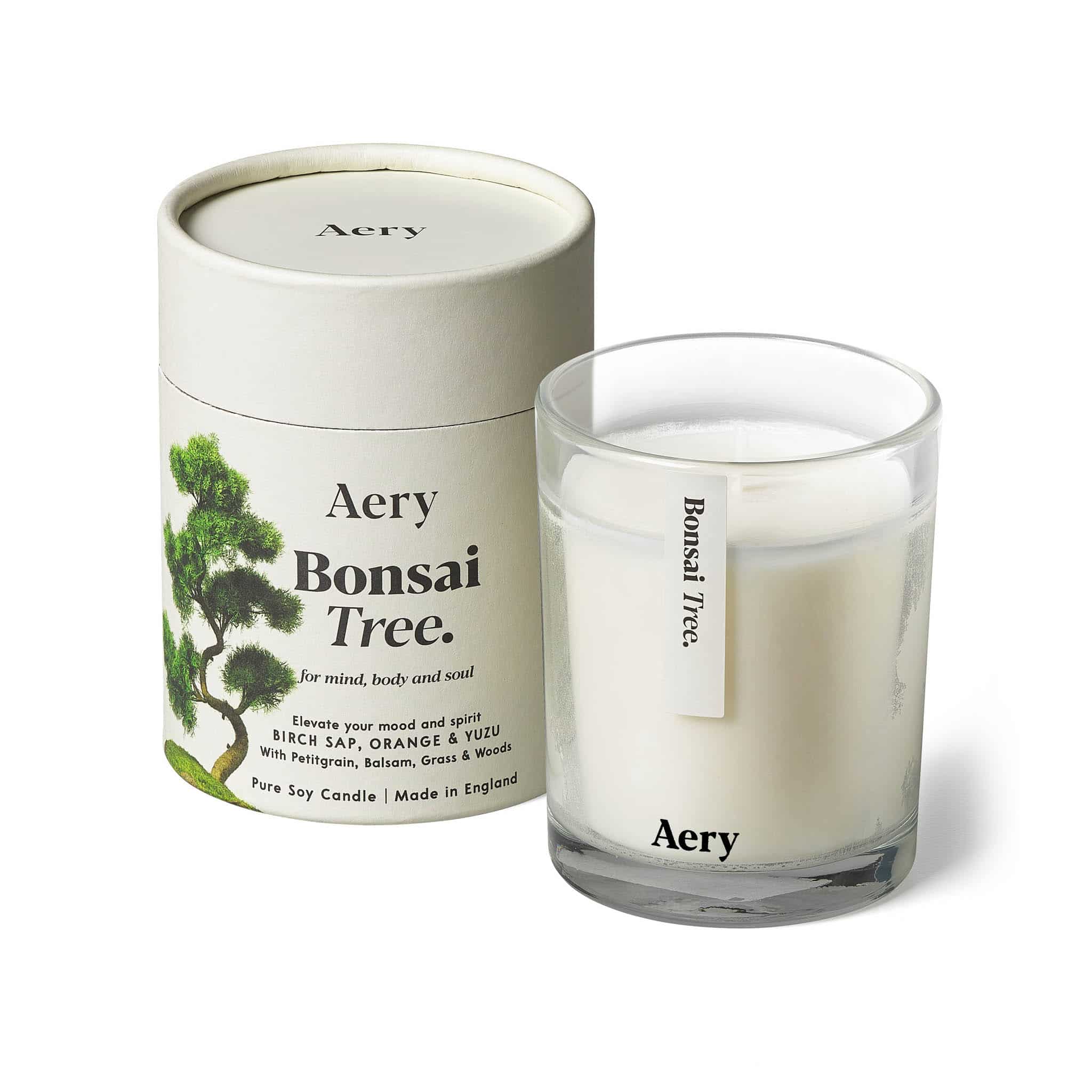 Aery Bonsai Tree Candle, 200g