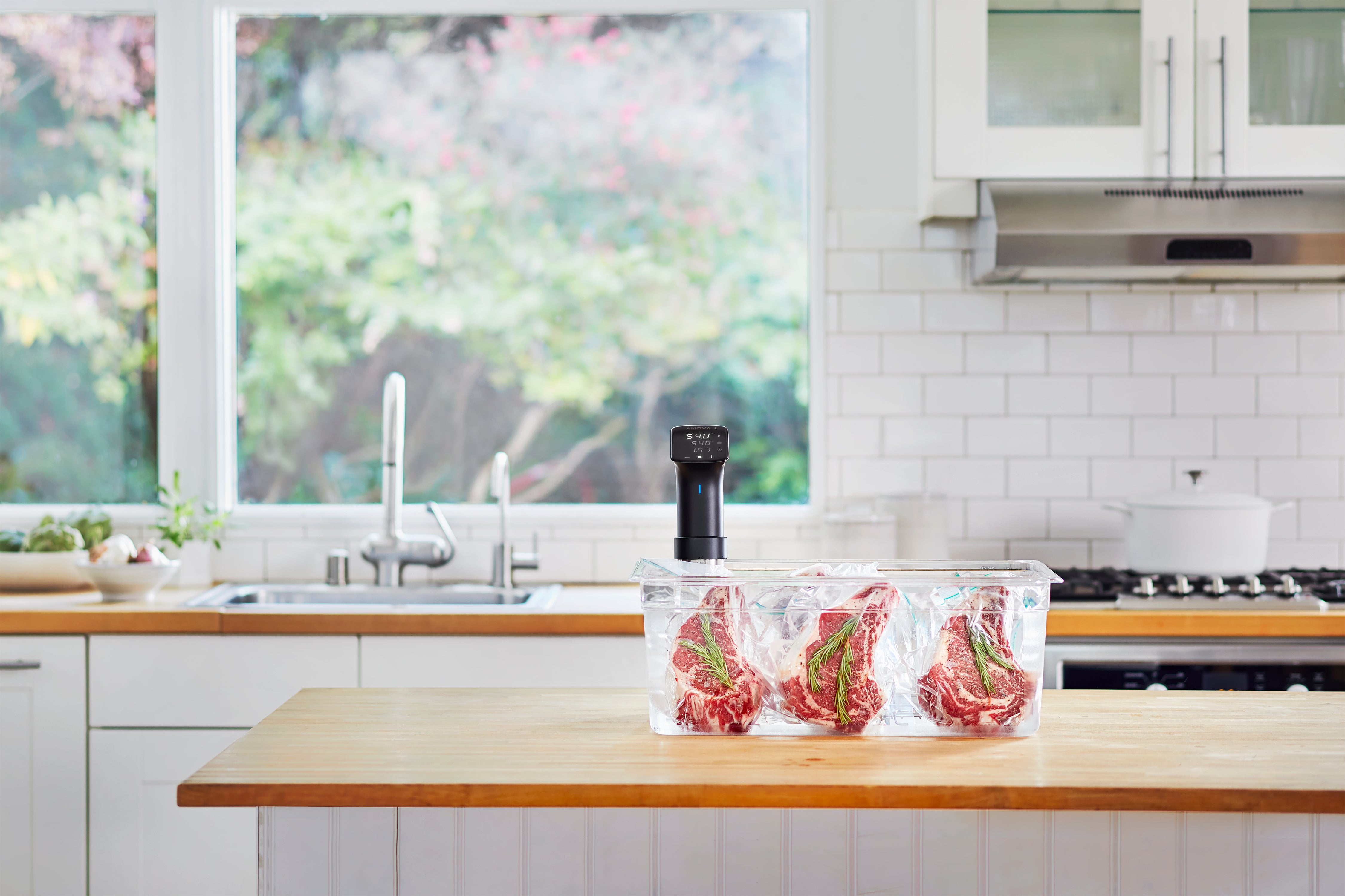 Anova Sous Vide Precision Cooker Pro | Buy online at Sous Chef UK