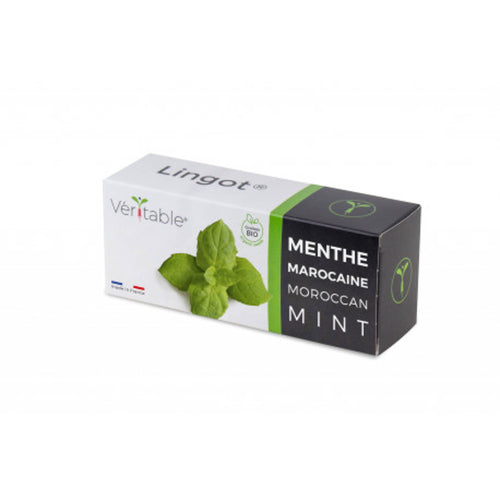 Veritable Asian Lingot Insert, Organic Moroccan Mint