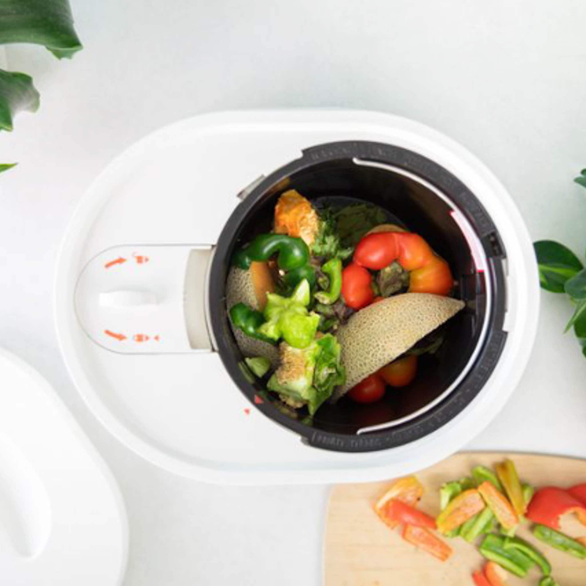 Lomi Food Waste Composter