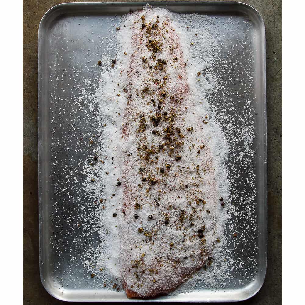 ProQ Cold Smoking & Curing Kit - Salmon curing process
