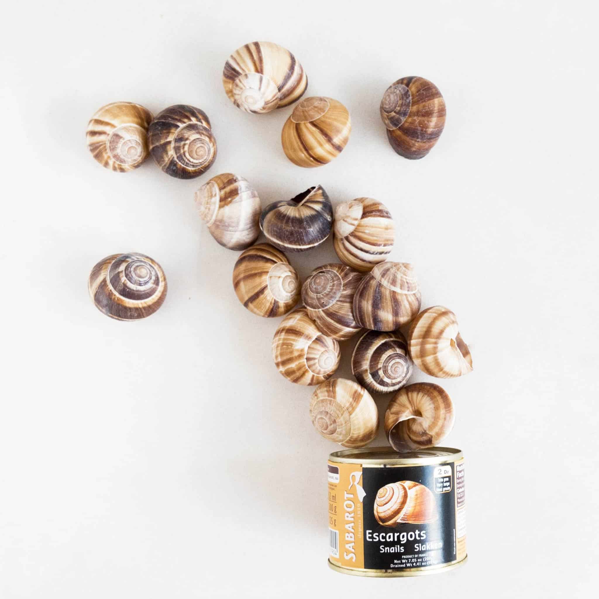 Tinned Snails With Shells 300g